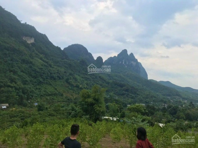 Chỉ 1tỷ Có Ngay 2500m Làm Nghỉ Dưỡng View Thoáng Không điểm Chết Tại Cao Răm Lương Sơn Hb 3