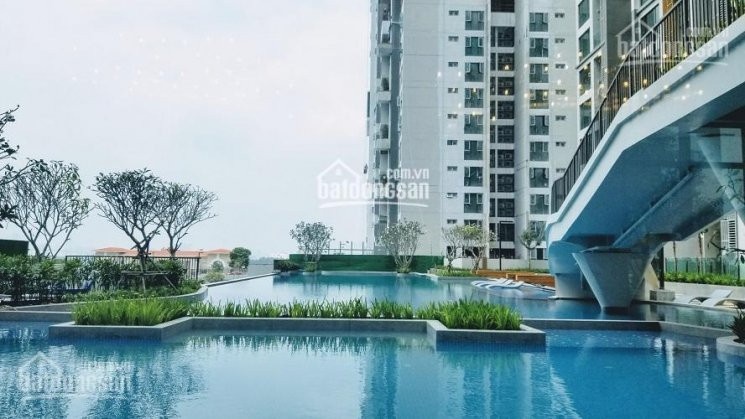 Chỉ Với 48 Tỷ Sở Hữu Ngay 2 Phòng Ngủ Feliz En Vista Giá Cđt Capitaland - Full Nội Thất View đẹp 2