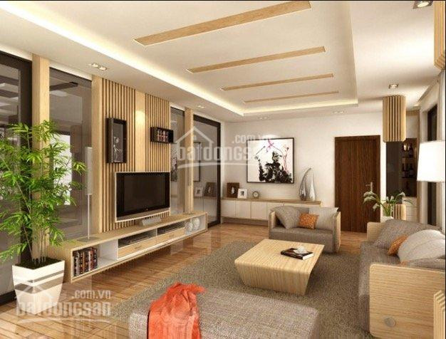 Chính Chủ Bán Nhanh Căn Hộ Chung Cư Dự án N10 Hà đô Park View, Căn Hộ 180m2 đã Cải Tạo đẹp Full Nội Thất Cao Cấp 1