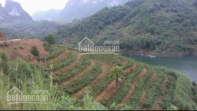 Chính Chủ Bán Nhanh Lô đất đep 10 Ha Bám Hồ Lớn  Tai Cao Phong Hòa Bình Có 1000m2 đất Thổ Cư 2