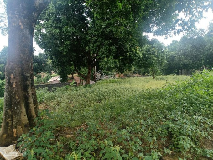 Chính Chủ Bán Nhanh Lô đất đep 10 Ha Bám Hồ Lớn  Tai Cao Phong Hòa Bình Có 1000m2 đất Thổ Cư 3