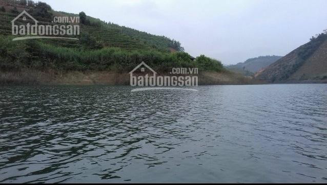 Chính Chủ Bán Nhanh Lô đất đep 10 Ha Bám Hồ Lớn  Tai Cao Phong Hòa Bình Có 1000m2 đất Thổ Cư 4