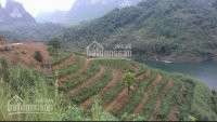 Chính Chủ Bán Nhanh Lô đất đep 10 Ha Bám Hồ Lớn  Tai Cao Phong Hòa Bình Có 1000m2 đất Thổ Cư 6