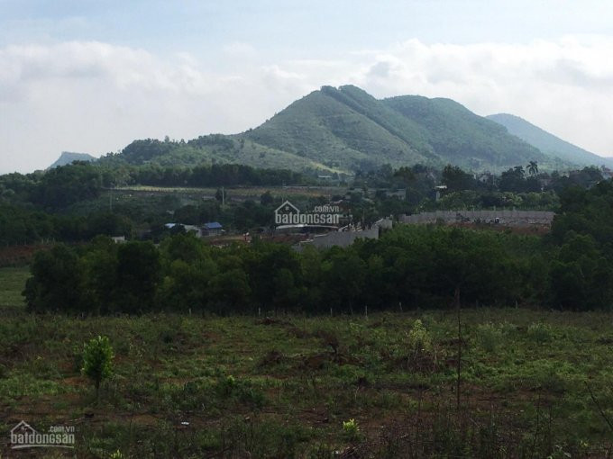 Chính Chủ Cần Bán Lô 1,8ha (18000m2) đất Làm Nhà Vườn Nghỉ Dưỡng Giá Rẻ Tại Yên Bình, Thạch Thất, Hà Nội 2