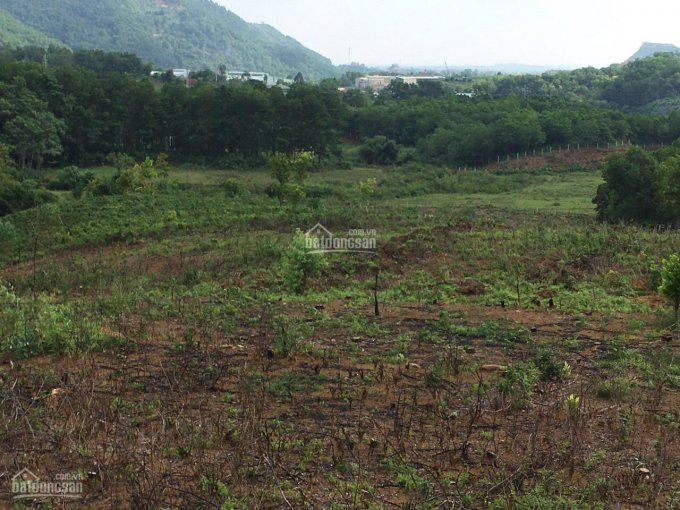 Chính Chủ Cần Bán Lô 1,8ha (18000m2) đất Làm Nhà Vườn Nghỉ Dưỡng Giá Rẻ Tại Yên Bình, Thạch Thất, Hà Nội 7