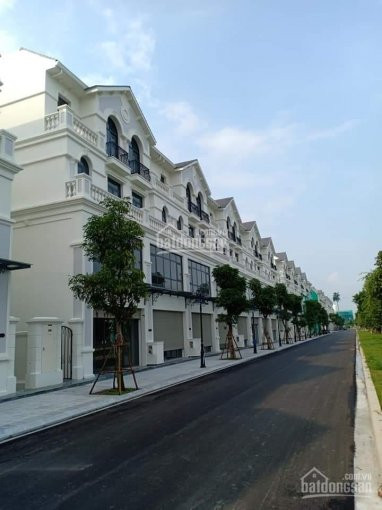 Chính Chủ Cần Cho Thuê Căn Shop đế Vương Sb22-32, Ha01-123 Và Nt06-160 Dự án Vinhomes Ocean Park 7