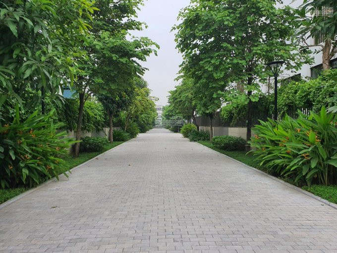 Chính Chủ Cần Tiền Bán Gấp Căn Biệt Thự Khai Sơn Hill 165m2, Giá 18 Tỷ Lh: 0985575386 2
