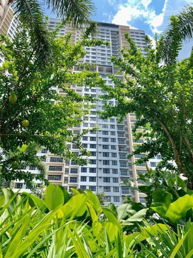 Chính Chủ Cho Thuê Căn Hộ Palm Heights - Palm City Giá Tốt Nhất Thị Trường 2pn - 12tr, 3pn - 16tr 4