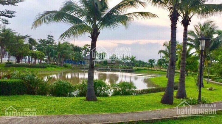 Chính Chủ Cho Thuê Nhanh Nhà Nguyên Căn Park Riverside, đầy đủ Nội Thất đẳng Cấp Châu âu - Lh 0915932936 6