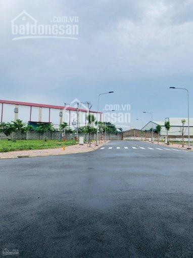 đất đẹp Sổ Riêng Tại Tam Hoà, Biên Hoà, đồng Nai, Gần Lotte Mart, 725tr/100m2, Shr, Lh: 0932811021 1