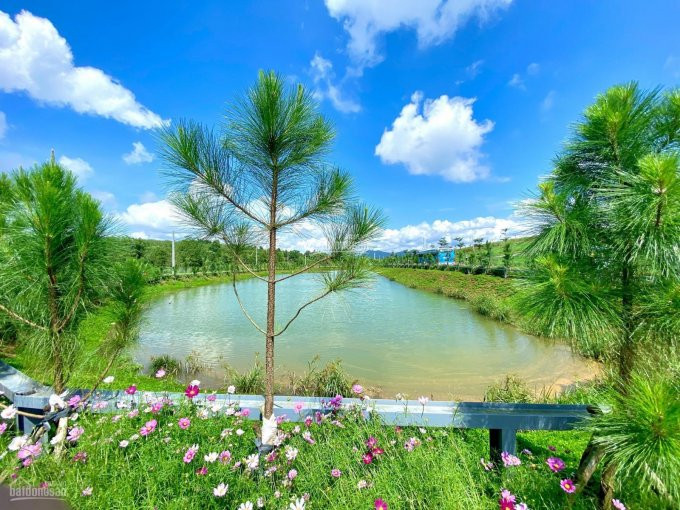 đất Vườn Ven Suối View đồi Chè - Sân Golf - Thành Phố Bảo Lộc 1