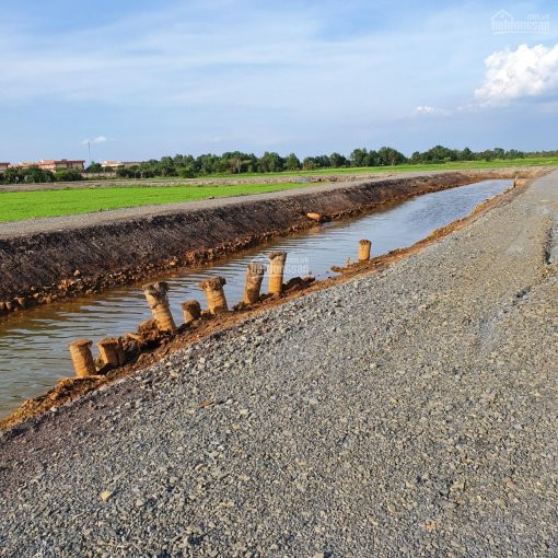 Hơn 2 Ha 7 đất 2 Mặt Tiền, 150m Chiều Ngang Và Phía Sau, Cây Hàng Năm Và Lâu Năm, Liền Kề đường 111 4