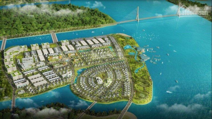 Nhận Chuyển Nhượng Swanbay  Giá Cả Hợp Lý , Thủ Tục Nhanh Gọn 2