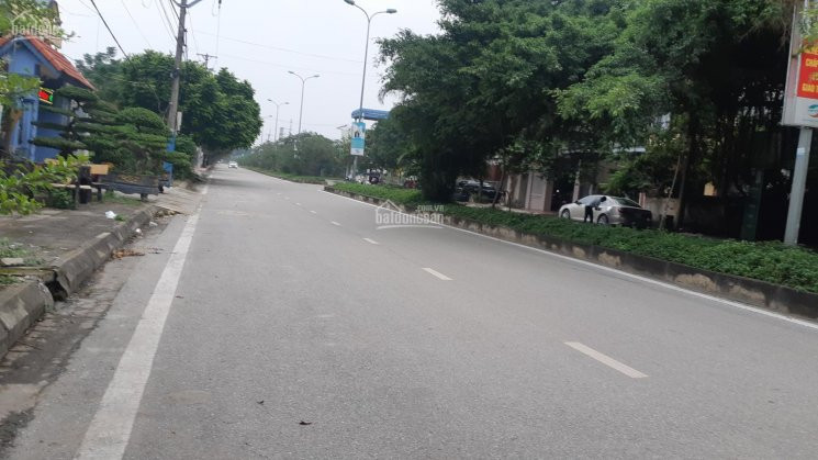 Quá đỉnh đất Cổ đông 1200m Giá 2,75 Tỷ 2