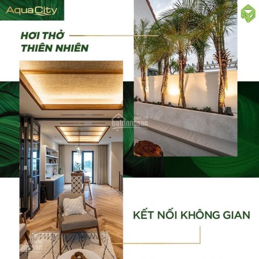 Siêu Hót Cần Bán Nhà Phố Thu Hồi Vốn 6x19,5m, Chỉ Cần 1,3 Tỷ Thanh Toán Tiến độ Nhẹ Nhàng 1%/tháng 5