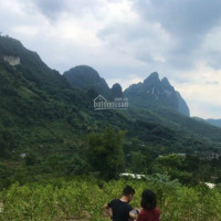 Chỉ 1tỷ Có Ngay 2500m Làm Nghỉ Dưỡng View Thoáng Không điểm Chết Tại Cao Răm Lương Sơn Hb