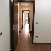 Chính Chủ Bán Nhanh Gấp Nhà đống đa, Võ Văn Dũng, 4 X 13 M, Vỉa Hè 4m, Kd, Giá Bán 159 Tỷ ( Có Gia Lộc )