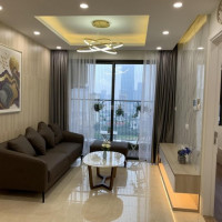 Tôi Cần Cho Thuê Chung Cư Cao Cấp 2pn Vinhomes D'capitale Trần Duy Hưng 12tr Lh 0901923966