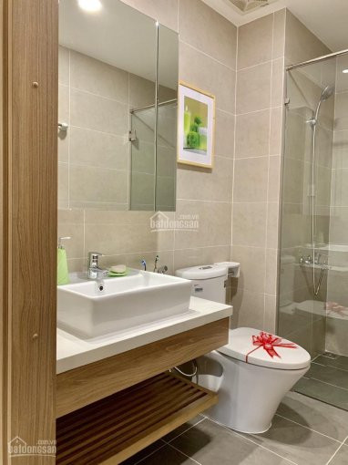 Akari Bàn Giao Miễn Phí Full Nội Thất Gồm: Tủ Bếp, Bếp điện 2 Bếp Và Máy Hút Mùi, Toilet đầy đủ 5