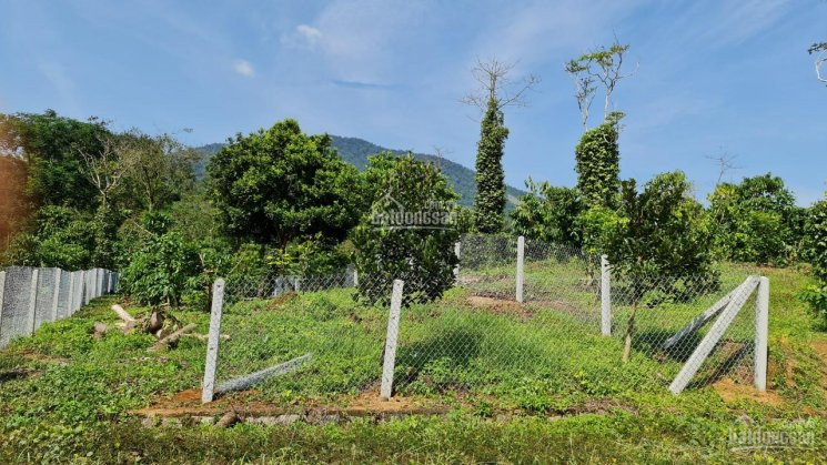 Bán 2 Lô đất Giáp Suối - Cách Chân đèo Bảo Lộc 6km - Cách Tphcm 155km - Rất Hợp Nghĩ Dưỡng 5