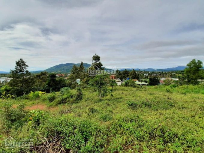 Bán đất Chính Chủ Gần Trung Tâm Tp Bảo Lộc, View đẹp Tựa Núi, Sổ Công Chứng Trong Ngày 1