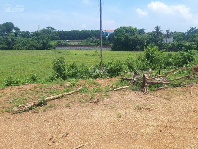 Bán Gấp 1688m2 Có 400m đất ở Tại Lương Sơn Hòa Bình, Gần Khu Công Nghiệp Lương Sơn Giá Cực Rẻ!!! 4