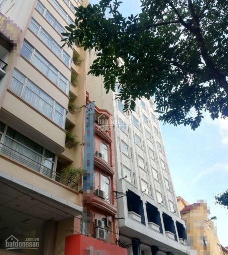 Bán Gấp Nhà Mp ô Chợ Dừa đống đa 7tầng Tmáy Vỉa Hè 5m Kd Sầm Uất Cực Rẻ 119m 235tỷ 0397550883 1