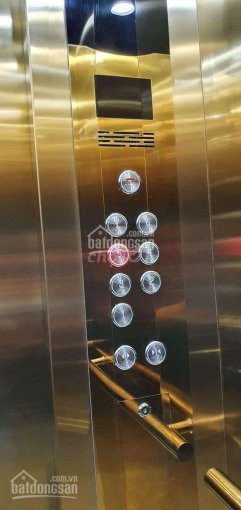 Bán Gấp Nhà Mp ô Chợ Dừa đống đa 7tầng Tmáy Vỉa Hè 5m Kd Sầm Uất Cực Rẻ 119m 235tỷ 0397550883 2