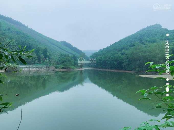 Bán Nguyên Hòn đảo 1,8ha đất Kim Bôi- Hoà Bình, Giá Rẻ- đất Gần Các Khu Du Lịch Nôi Tiếng Kim Bôi 1