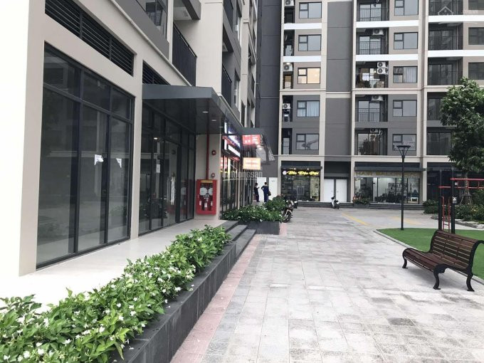 Bán Shop Chân đế 72m2 Tại S212 Vinhomes Ocean Park, Trung Tâm Phân Khu Sapphire Ii, Giá Chỉ 6 Tỷ 2