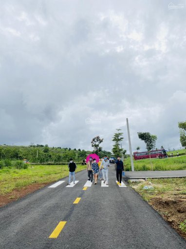 Bảo Lộc Park Hill-ngay Cửa Ngõ Cao Tốc Dầu Dây -liên Khương-sinh Lợi Nhuận Kép 1