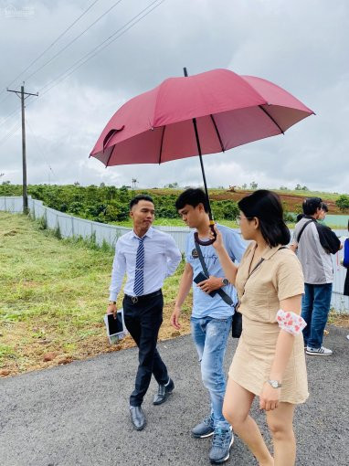 Bảo Lộc Park Hill-ngay Cửa Ngõ Cao Tốc Dầu Dây -liên Khương-sinh Lợi Nhuận Kép 2