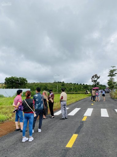 Bảo Lộc Park Hill-ngay Cửa Ngõ Cao Tốc Dầu Dây -liên Khương-sinh Lợi Nhuận Kép 5