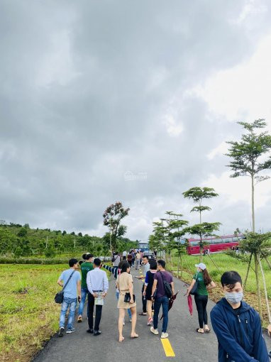 Bảo Lộc Park Hill-ngay Cửa Ngõ Cao Tốc Dầu Dây -liên Khương-sinh Lợi Nhuận Kép 8