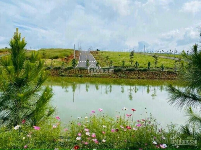 Bảo Lộc Park Hills - Thiên đường Nghỉ Dưỡng 3