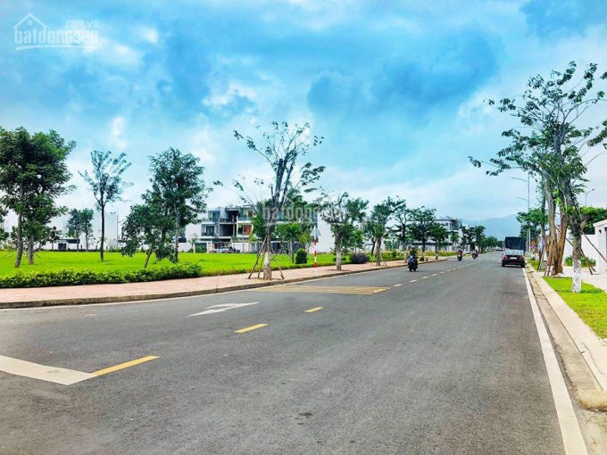 Bệnh Viện đa Khoa Nha Trang Khởi Công, Thời điểm Vàng để Gom Hàng Mỹ Gia, Giá Chỉ Từ 15tr/m2 6