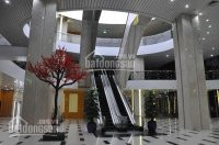 Bql Cho Thuê Văn Phòng Tòa Nhà 789 Office Building Diện Tích Từ 50 - 100 - 200 - 500m2 Giá 230ng/m2 8