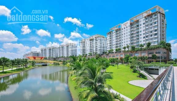 Căn Hộ Sarimi Cần Cho Thuê Gấp, Full Nội Thất 24 Triệu 1