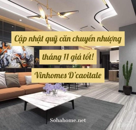 Cập Nhật Bảng Hàng Chuyển Nhượng T11 Mới Nhất Vinhomes D'capitale, Căn Hô đa Dạng Giá Chỉ Từ 14 Tỉ 1