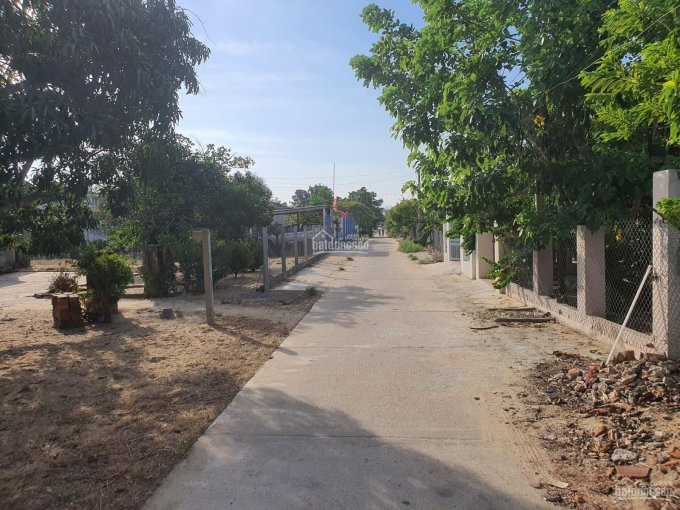 Cc Bán Gấp 276m2 (6*46m) Hai Mặt Tiền đường Bê Tông, Khối Phố Tân Khai, Phường điện Dương 1