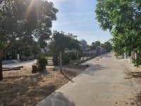 Cc Bán Gấp 276m2 (6*46m) Hai Mặt Tiền đường Bê Tông, Khối Phố Tân Khai, Phường điện Dương 12