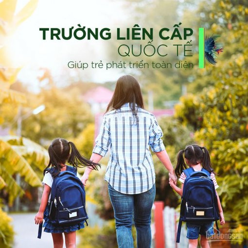 Cđt Tân á đại Thành Mở Bán Nhà Phố Liền Kề Meyhomes Phú Quốc - Htls 0% 18 Tháng - Tt 10% Ký Hđmb 4