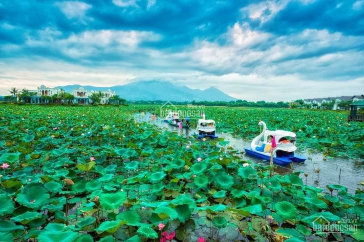 Chỉ 3 Tỷ Có Ngay Căn Bt đẹp Nhất View Hồ Sen, Full Nội Thất Tại Mạch Khoáng Thanh Thuỷ, Phú Thọ 5