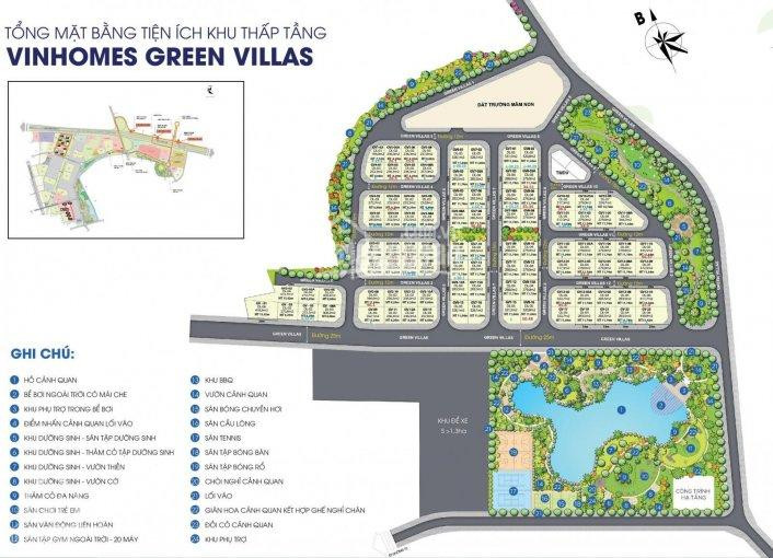 Chiết Khấu 45%, Tặng 2 Cây Vàng Biệt Thự Vinhomes Green Villas 272m2 đường 25m Thẳng Ra Vườn Nhật 8