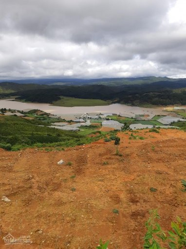 Chính Chủ Bán 5 Sào  đất View Cực đỉnh, Cách đà Lạt 13km, Chỉ 19 Tỷ 1