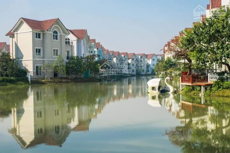 Chính Chủ Bán Biệt Thự Song Lập Hoa Sữa, Vinhomes Riverside 220,3m2 đn 20tỷ Lh: 0966768388 1