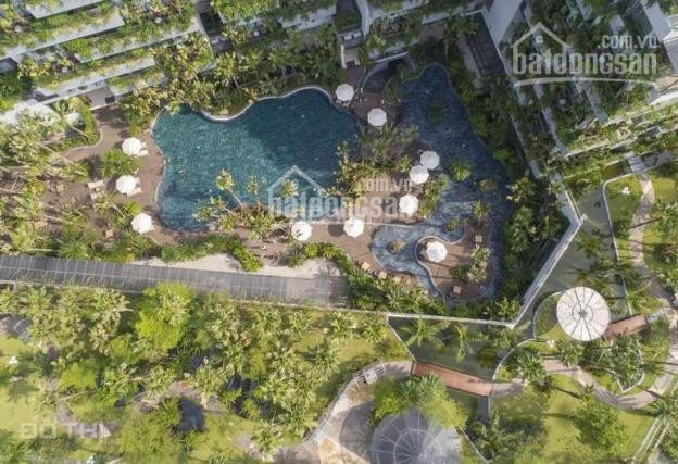 Chính Chủ Bán Căn Bt Tầng 2, Tòa Forest In The Sky 1 - Flamingo đại Lải - Bán Lại Giá Rẻ 100m2 1