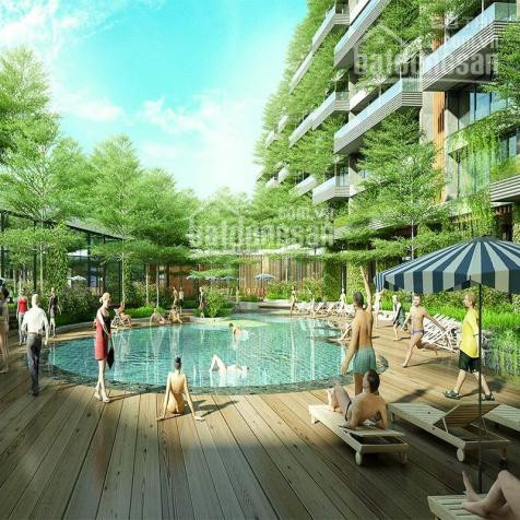 Chính Chủ Bán Căn Bt Tầng 2, Tòa Forest In The Sky 1 - Flamingo đại Lải - Bán Lại Giá Rẻ 100m2 4