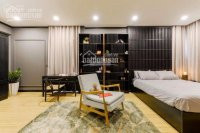 Chính Chủ Bán Căn Hộ Vinhomes Nguyễn Chí Thanh, Căn đập Thông Diện Tích 215m2 Full Nội Thất 60tr/m2 9