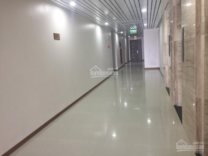 Chính Chủ Bán Cắt Lỗ Căn Hộ 1601 - Ct4 Dt 60m2 Chung Cư Iris Garden, Giá 182 Tỷ Lh 0981300655 2